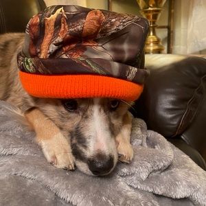 Meet your Posher, Celisity